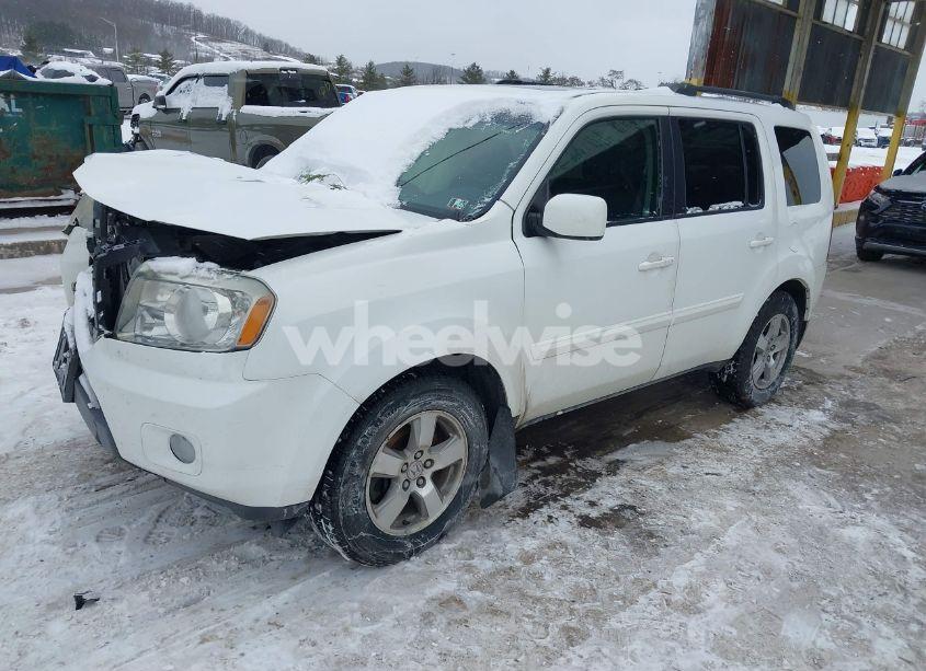 Photo 2 of 2009 Honda Pilot EX-L (VIN 5FNYF48519B023195)