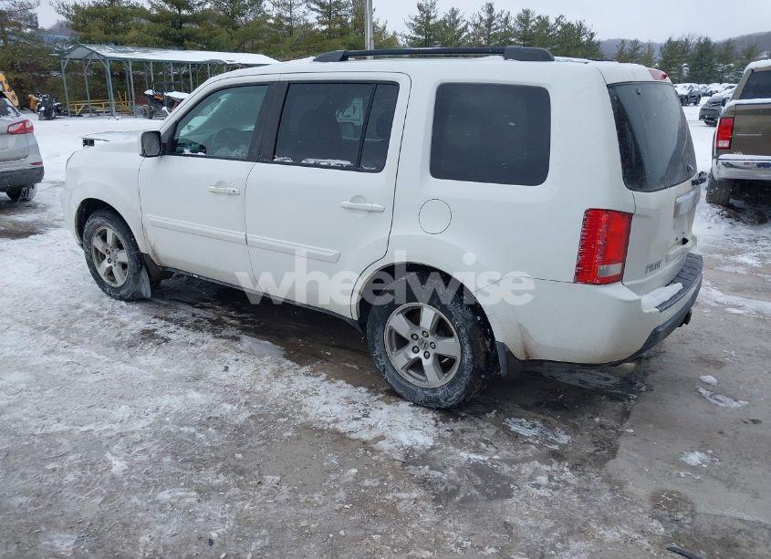 Photo 3 of 2009 Honda Pilot EX-L (VIN 5FNYF48519B023195)