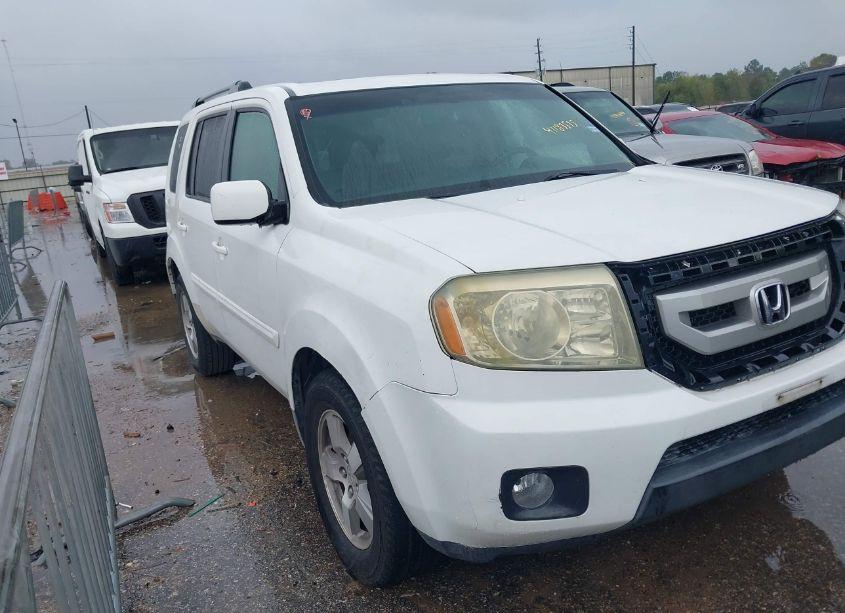 2009 Honda Pilot EX-L (VIN 5FNYF48529B012657) main photo