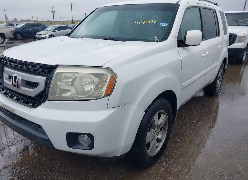 Photo 2 of 2009 Honda Pilot EX-L (VIN 5FNYF48529B012657)