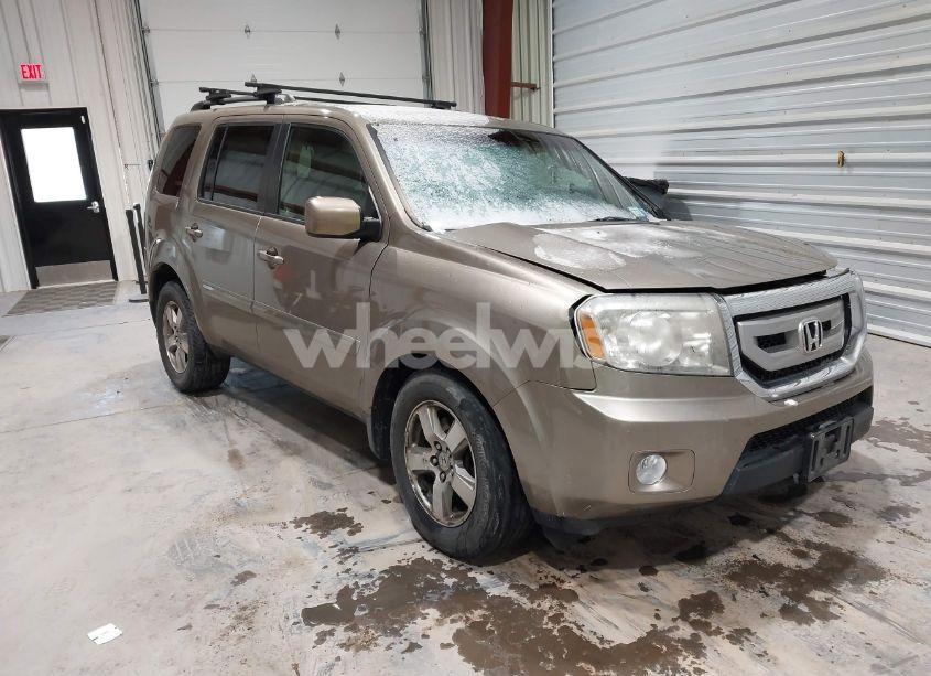 2009 Honda Pilot EX-L (VIN 5FNYF48529B036313) main photo