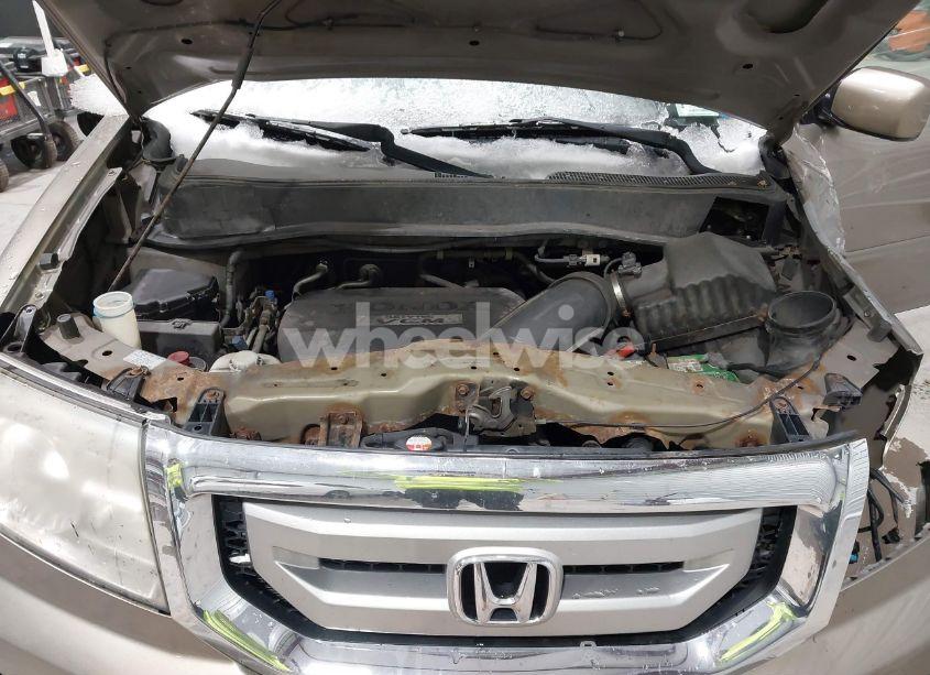 Photo 10 of 2009 Honda Pilot EX-L (VIN 5FNYF48529B036313)