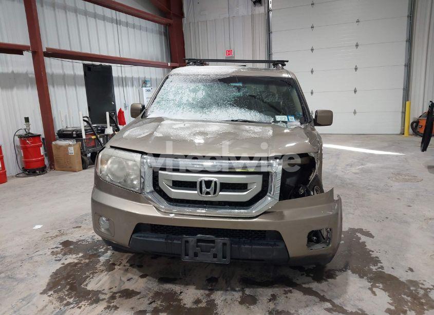 Photo 12 of 2009 Honda Pilot EX-L (VIN 5FNYF48529B036313)