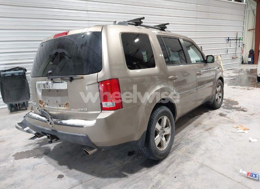 Photo 4 of 2009 Honda Pilot EX-L (VIN 5FNYF48529B036313)