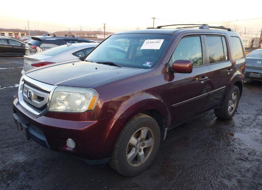 Photo 2 of 2009 Honda Pilot EX-L (VIN 5FNYF48529B050289)