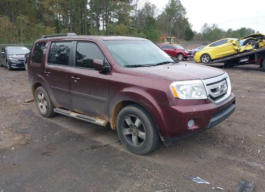 2009 Honda Pilot EX-L (VIN 5FNYF48539B005412) main photo