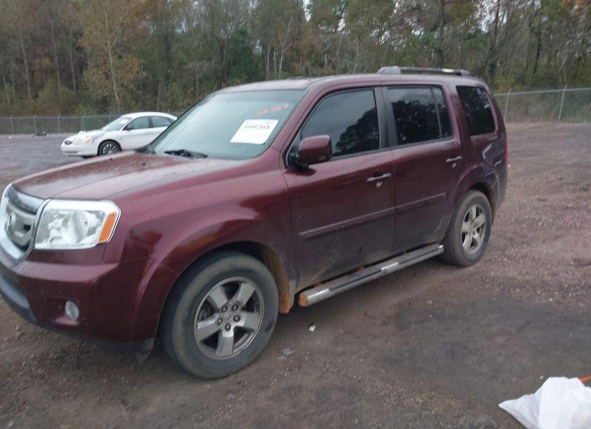 Photo 2 of 2009 Honda Pilot EX-L (VIN 5FNYF48539B005412)