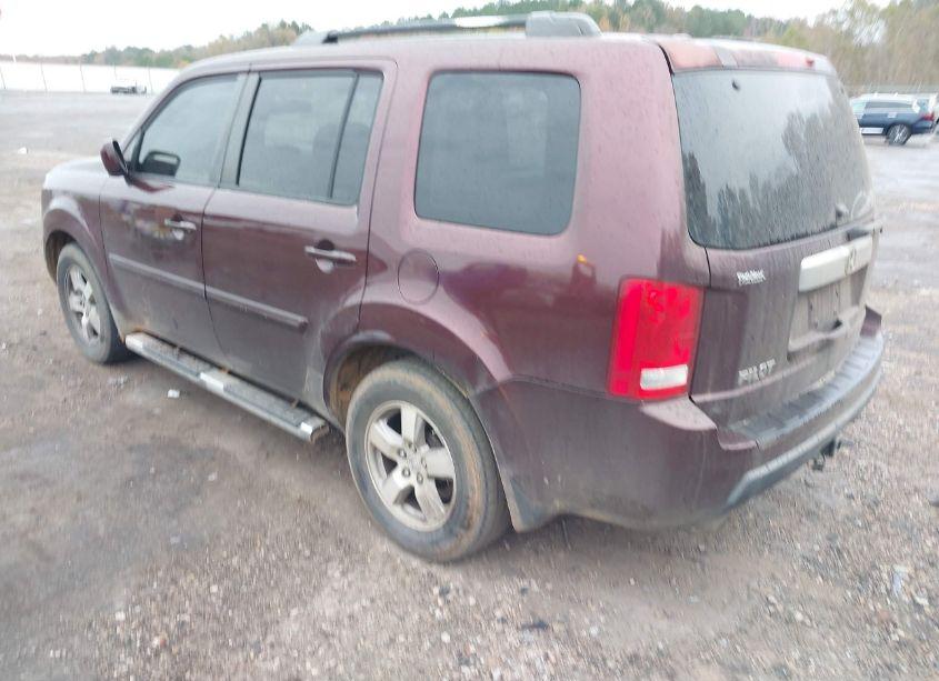 Photo 3 of 2009 Honda Pilot EX-L (VIN 5FNYF48539B005412)