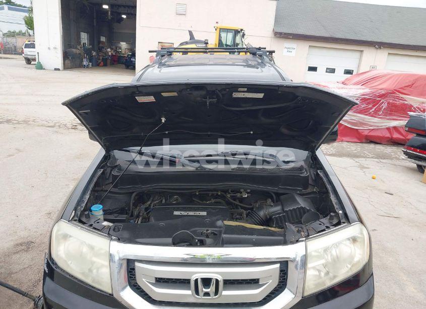 Photo 10 of 2009 Honda Pilot EX-L (VIN 5FNYF48539B045571)