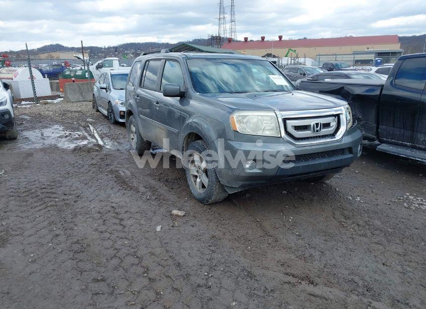 2009 Honda Pilot EX-L (VIN 5FNYF48569B001094) main photo
