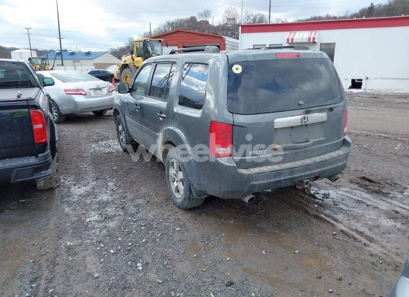 Photo 3 of 2009 Honda Pilot EX-L (VIN 5FNYF48569B001094)