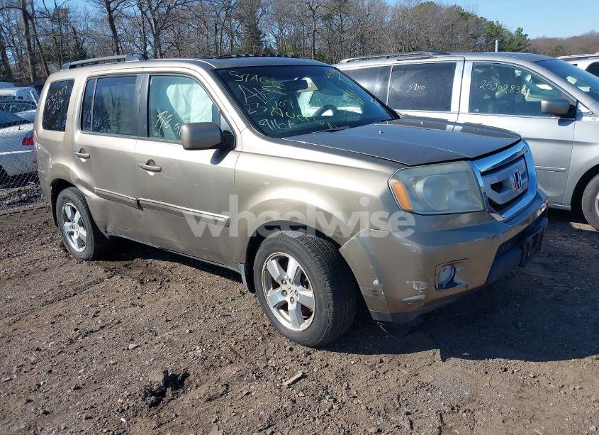 2009 Honda Pilot EX-L (VIN 5FNYF48569B047587) main photo