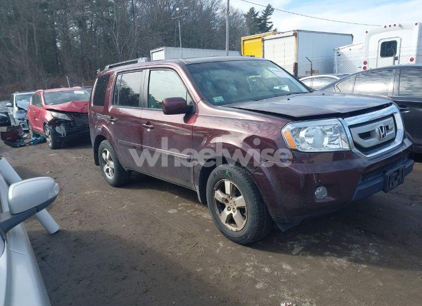 2009 Honda Pilot EX-L (VIN 5FNYF48579B000553) main photo