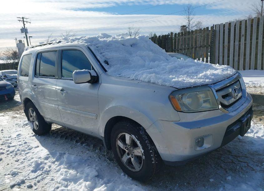 2009 Honda Pilot EX-L (VIN 5FNYF48579B017935) main photo
