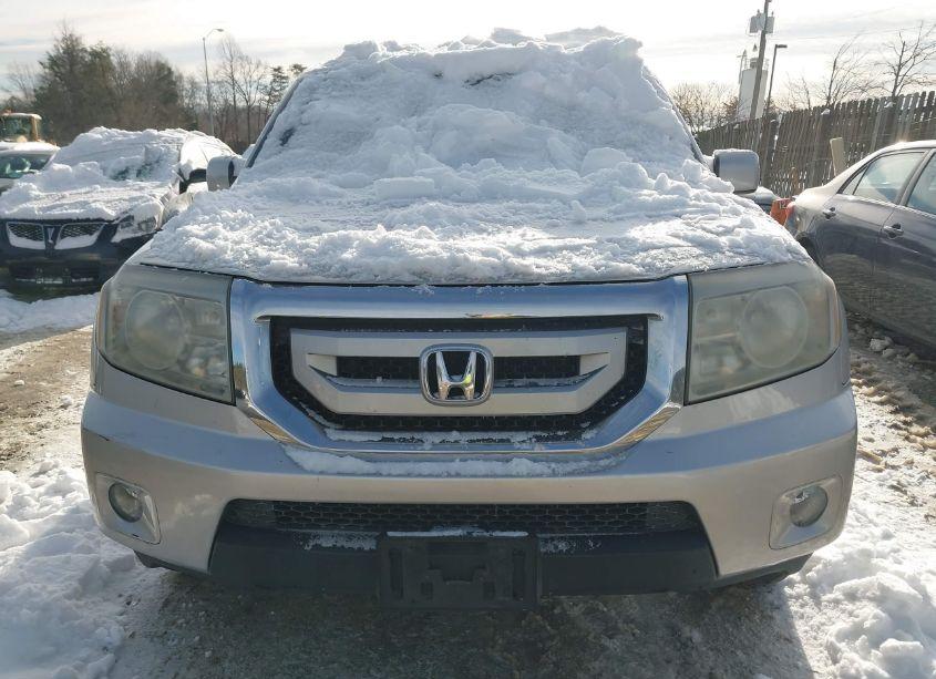 Photo 6 of 2009 Honda Pilot EX-L (VIN 5FNYF48579B017935)