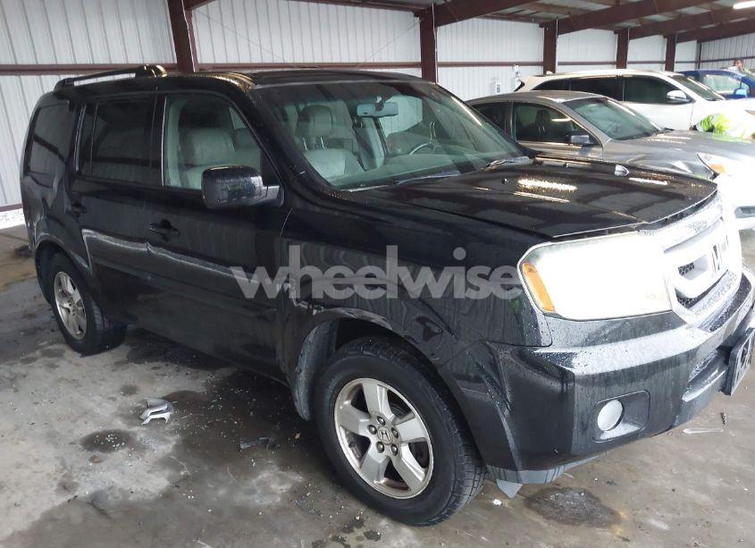 2009 Honda Pilot EX-L (VIN 5FNYF48589B007706) main photo