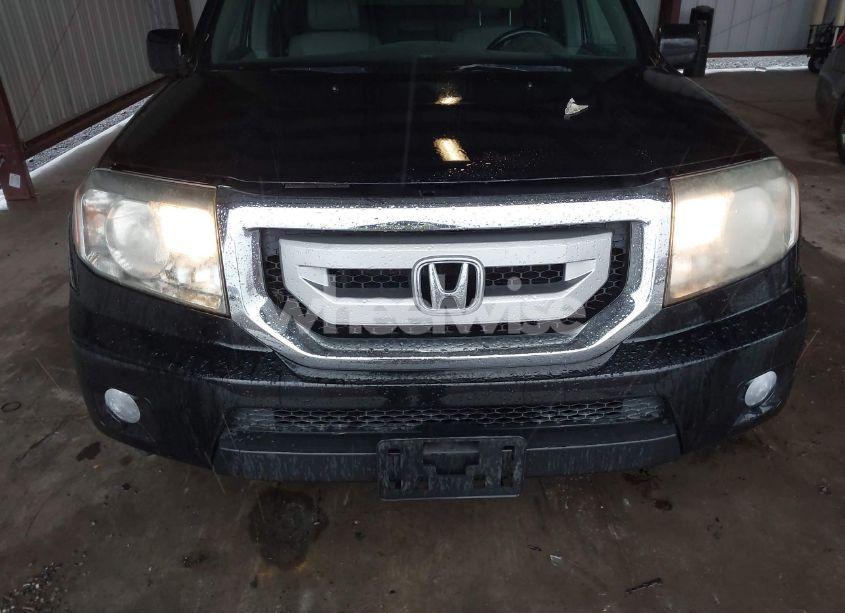 Photo 13 of 2009 Honda Pilot EX-L (VIN 5FNYF48589B007706)