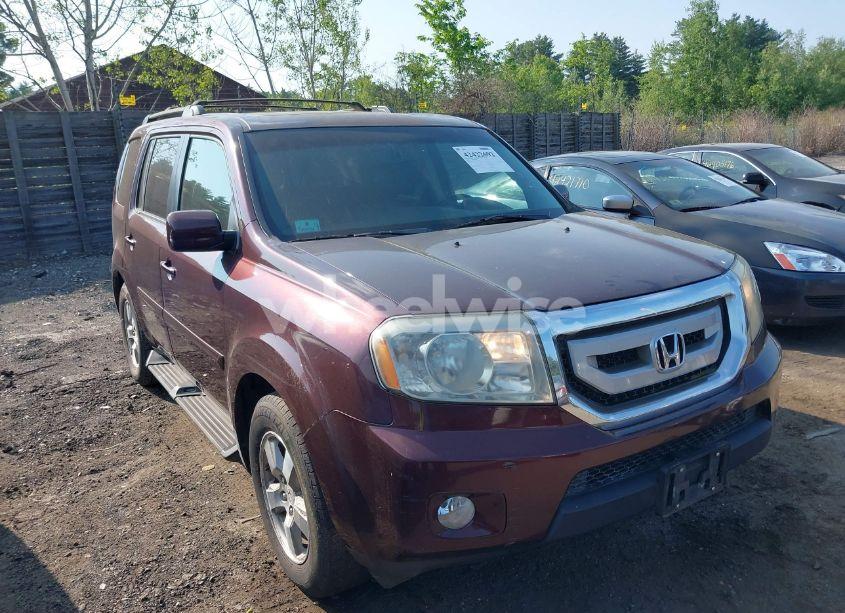 2009 Honda Pilot EX-L (VIN 5FNYF48589B021654) main photo