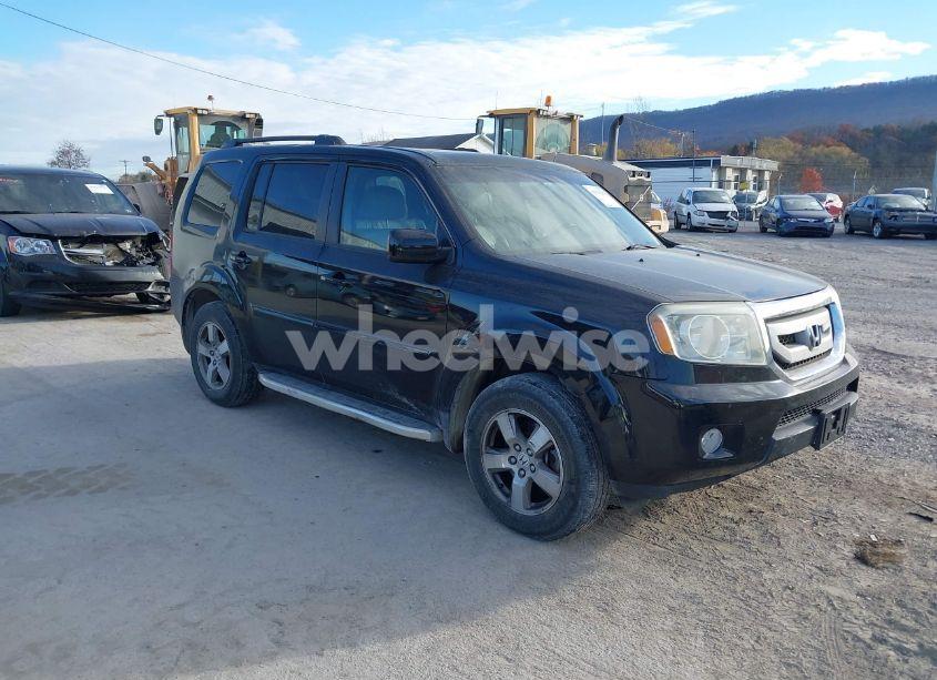 2009 Honda Pilot EX-L (VIN 5FNYF48589B042312) main photo