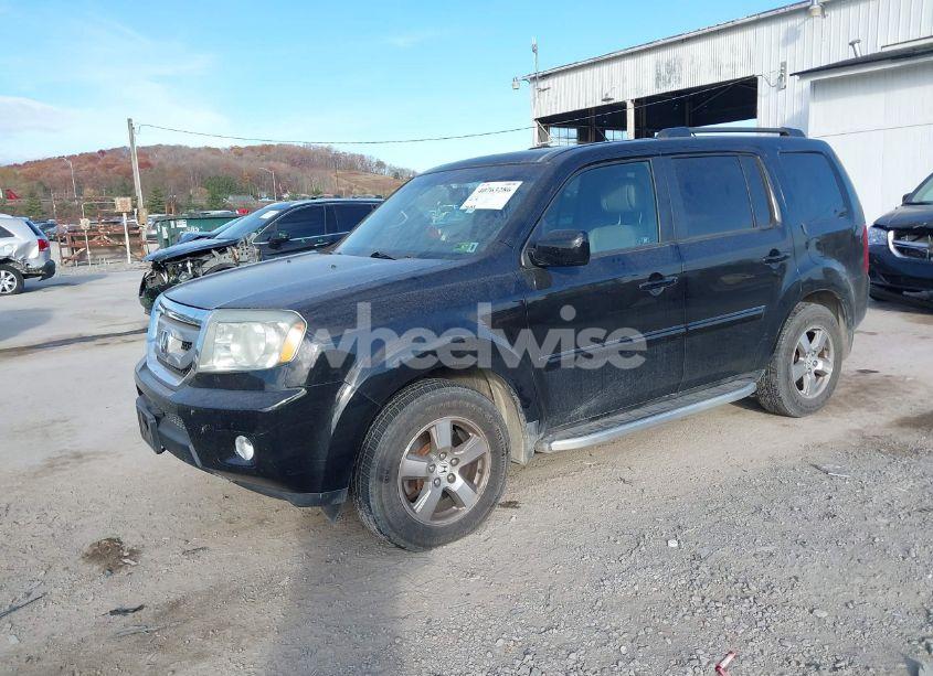 Photo 2 of 2009 Honda Pilot EX-L (VIN 5FNYF48589B042312)