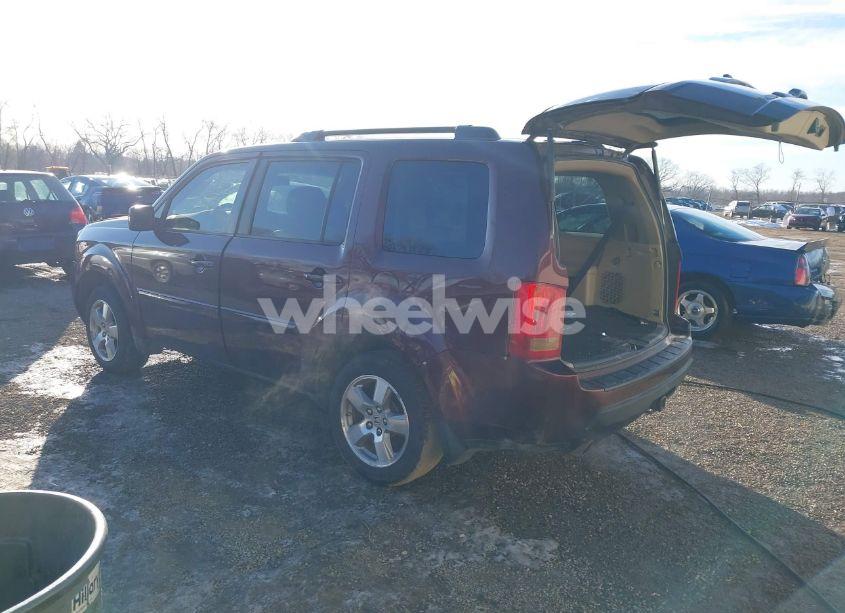 Photo 3 of 2009 Honda Pilot EX-L (VIN 5FNYF48599B052668)