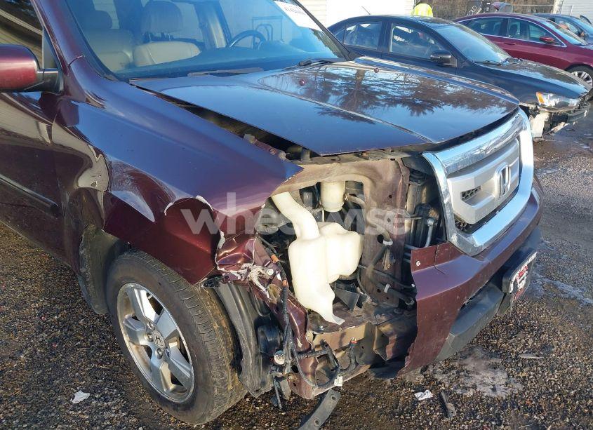 Photo 6 of 2009 Honda Pilot EX-L (VIN 5FNYF48599B052668)