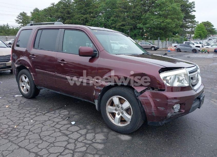 2009 Honda Pilot EX-L (VIN 5FNYF48619B019768) main photo