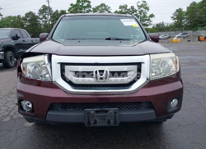 Photo 12 of 2009 Honda Pilot EX-L (VIN 5FNYF48619B019768)