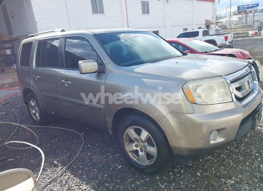 2009 Honda Pilot EX-L (VIN 5FNYF48619B026946) main photo