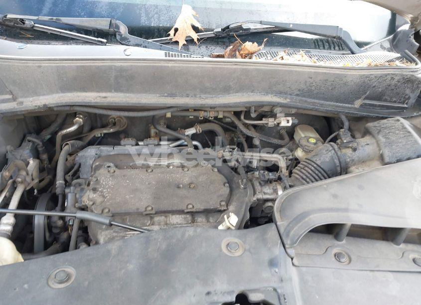 Photo 10 of 2009 Honda Pilot EX-L (VIN 5FNYF48619B026946)