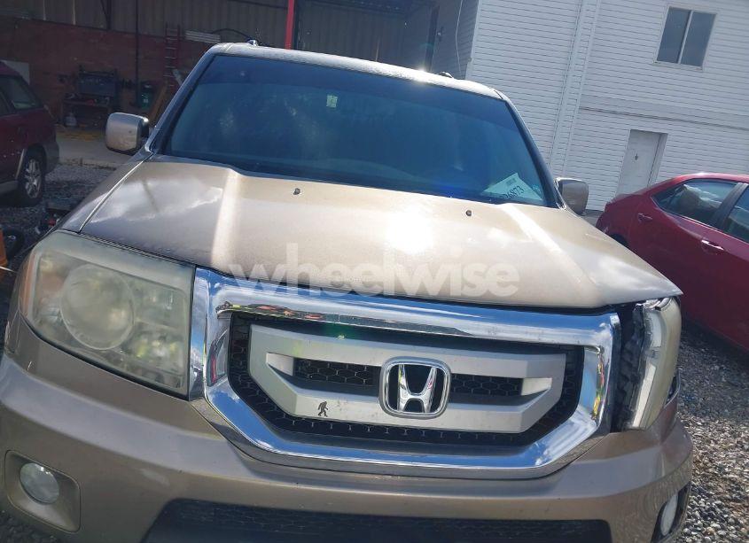 Photo 12 of 2009 Honda Pilot EX-L (VIN 5FNYF48619B026946)