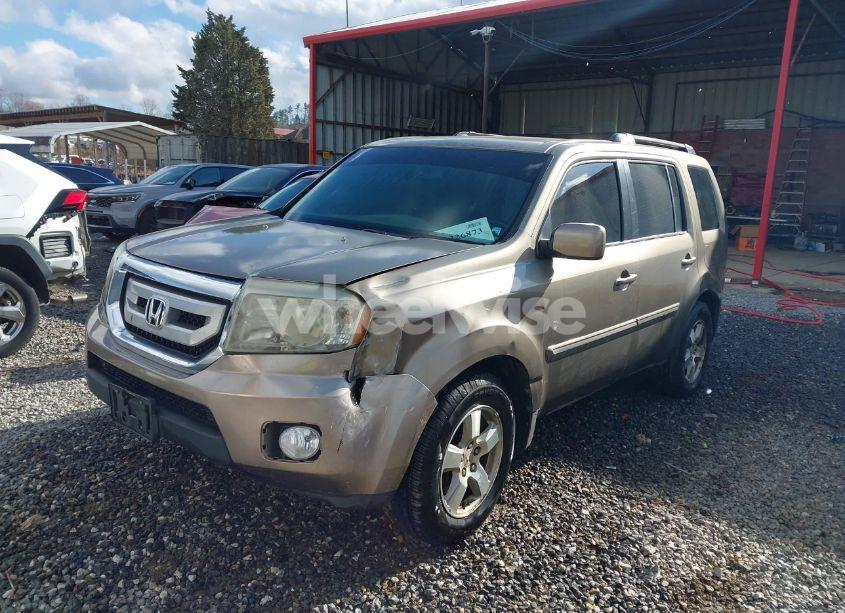 Photo 2 of 2009 Honda Pilot EX-L (VIN 5FNYF48619B026946)