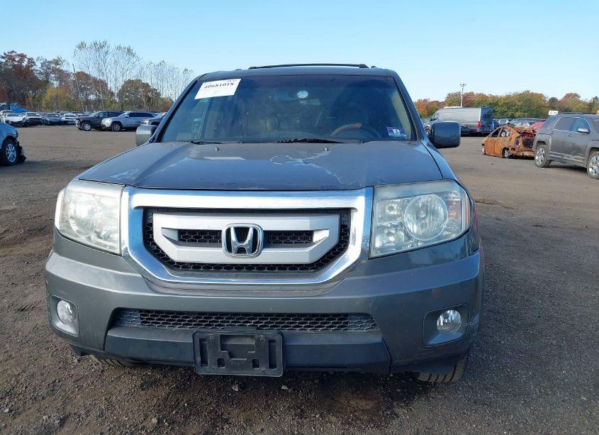 Photo 12 of 2009 Honda Pilot EX-L (VIN 5FNYF48649B017805)