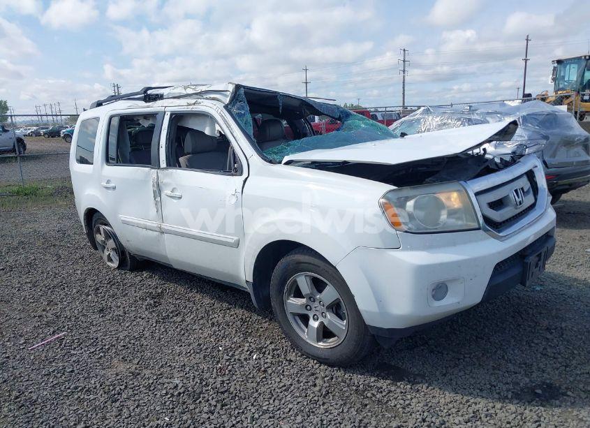 2009 Honda Pilot EX-L (VIN 5FNYF48699B035930) main photo