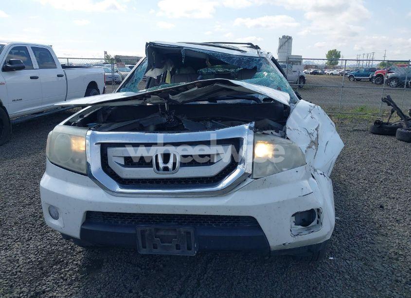 Photo 12 of 2009 Honda Pilot EX-L (VIN 5FNYF48699B035930)