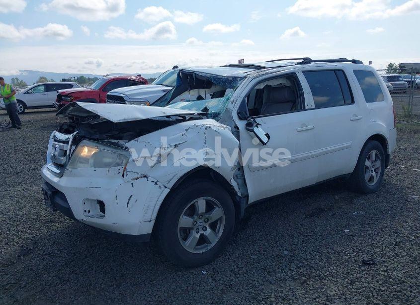 Photo 2 of 2009 Honda Pilot EX-L (VIN 5FNYF48699B035930)