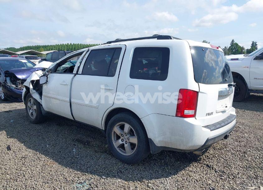 Photo 3 of 2009 Honda Pilot EX-L (VIN 5FNYF48699B035930)