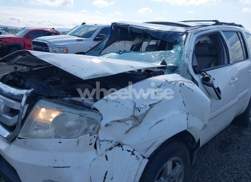 Photo 6 of 2009 Honda Pilot EX-L (VIN 5FNYF48699B035930)