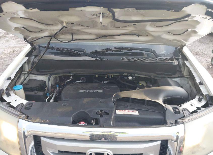 Photo 10 of 2010 Honda Pilot LX (VIN 5FNYF4H23AB006330)