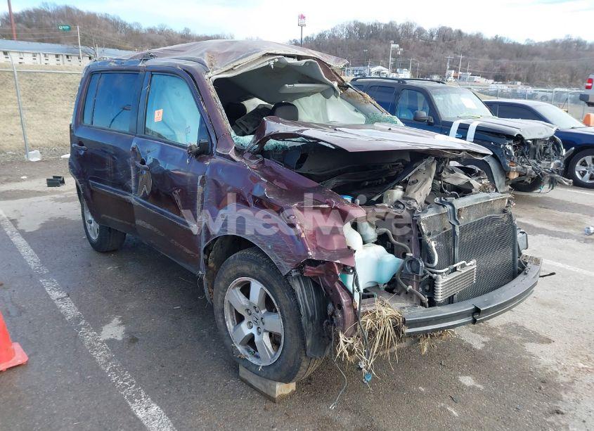 2011 Honda Pilot EX (VIN 5FNYF4H47BB055291) main photo