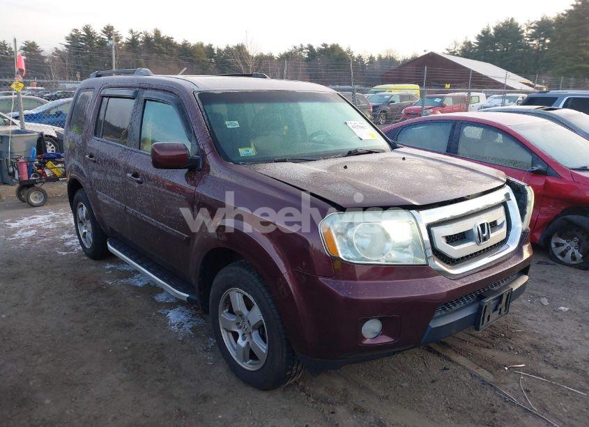 2011 Honda Pilot EX-L (VIN 5FNYF4H50BB018768) main photo