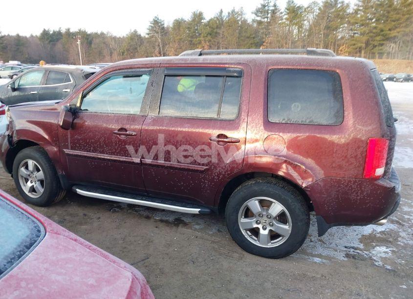 Photo 14 of 2011 Honda Pilot EX-L (VIN 5FNYF4H50BB018768)