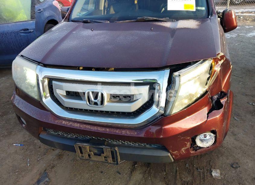 Photo 6 of 2011 Honda Pilot EX-L (VIN 5FNYF4H50BB018768)