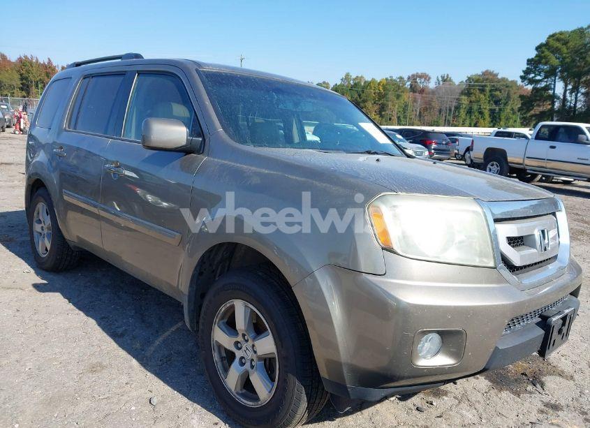 2011 Honda Pilot EX-L (VIN 5FNYF4H50BB044528) main photo