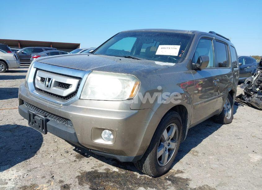 Photo 2 of 2011 Honda Pilot EX-L (VIN 5FNYF4H50BB044528)