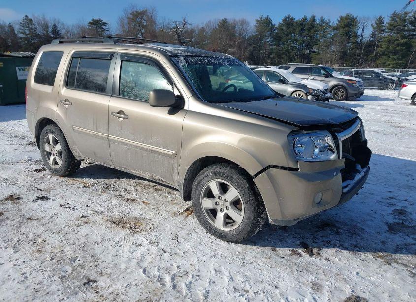 2010 Honda Pilot EX-L (VIN 5FNYF4H51AB033021) main photo