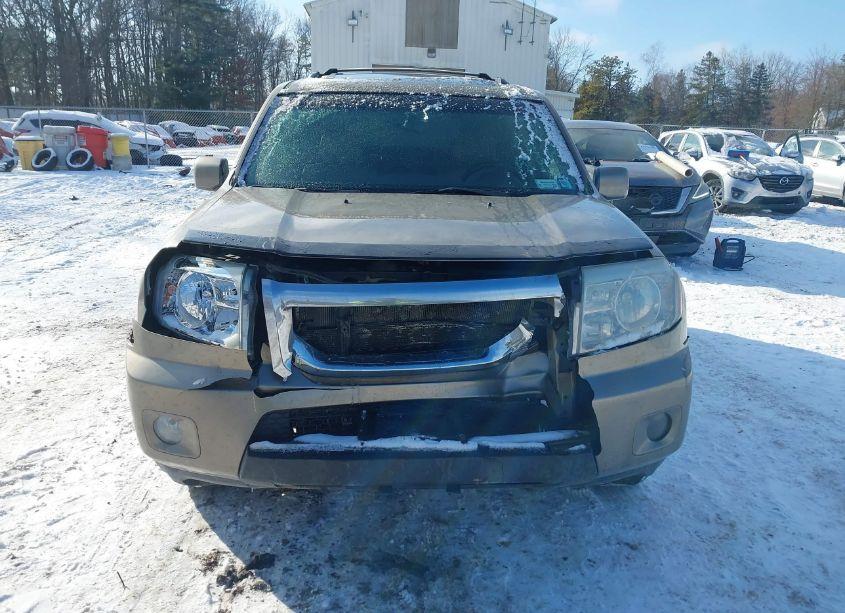 Photo 12 of 2010 Honda Pilot EX-L (VIN 5FNYF4H51AB033021)