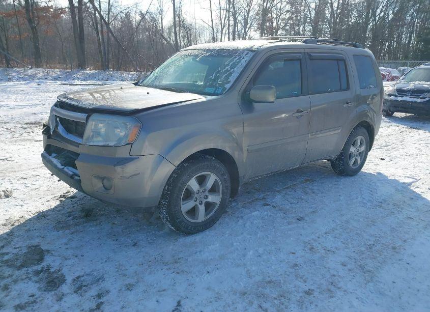 Photo 2 of 2010 Honda Pilot EX-L (VIN 5FNYF4H51AB033021)