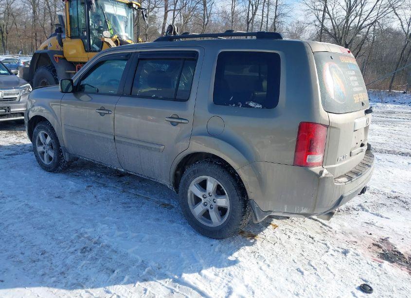 Photo 3 of 2010 Honda Pilot EX-L (VIN 5FNYF4H51AB033021)