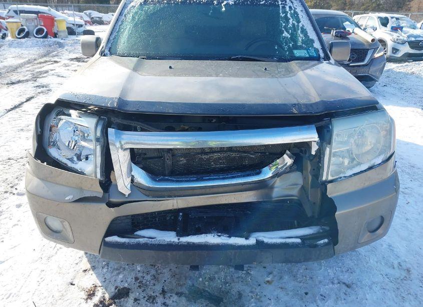 Photo 6 of 2010 Honda Pilot EX-L (VIN 5FNYF4H51AB033021)